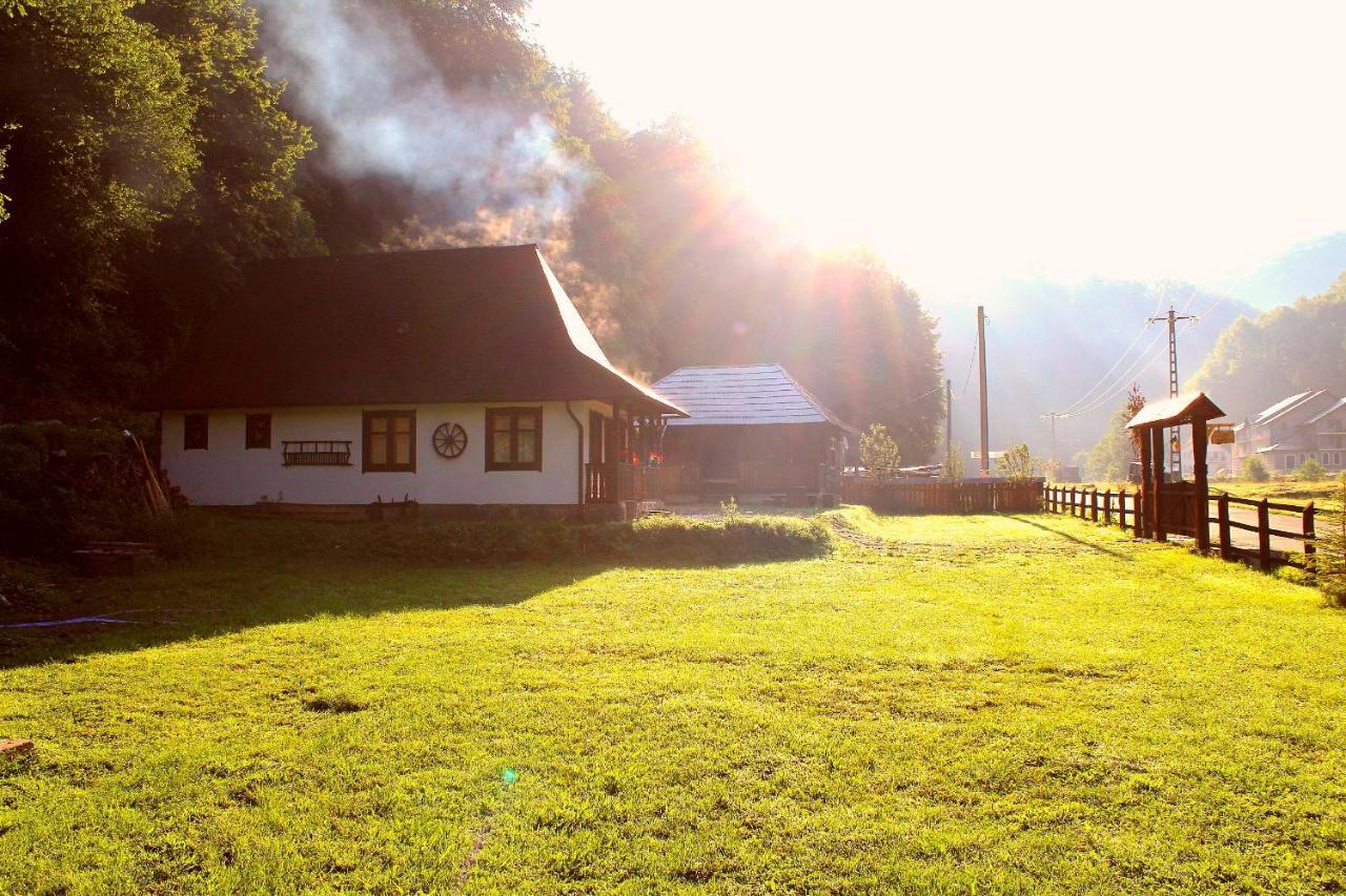 Vila Casuta Din Valea Regilor Gradistea de Munte Exteriér fotografie