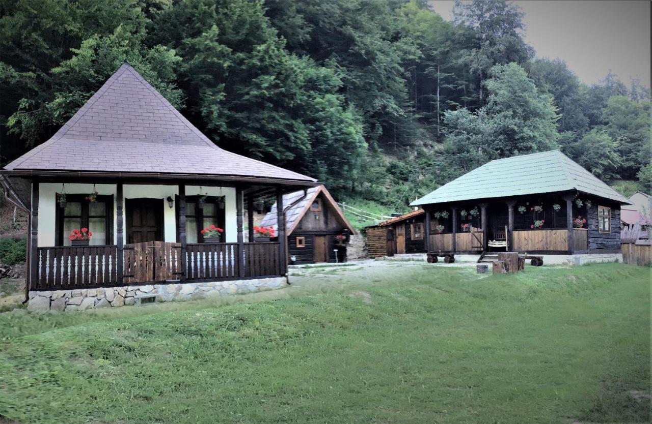 Vila Casuta Din Valea Regilor Gradistea de Munte Exteriér fotografie