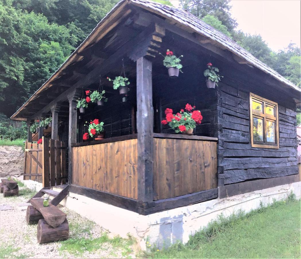 Vila Casuta Din Valea Regilor Gradistea de Munte Exteriér fotografie
