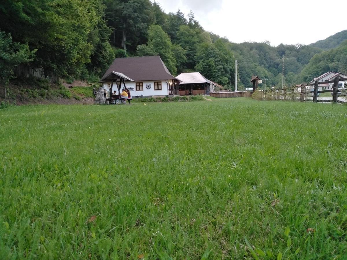Vila Casuta Din Valea Regilor Gradistea de Munte Exteriér fotografie