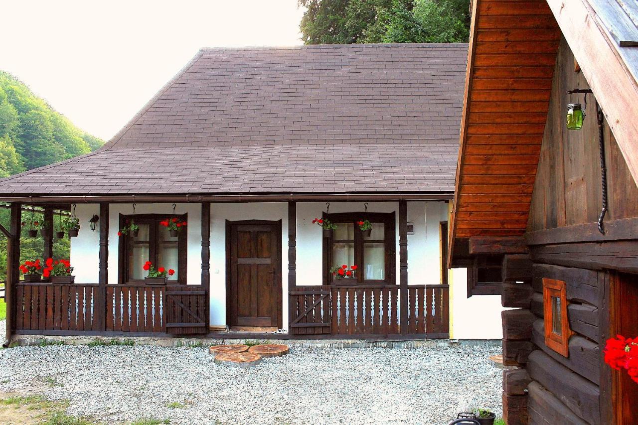 Vila Casuta Din Valea Regilor Gradistea de Munte Exteriér fotografie