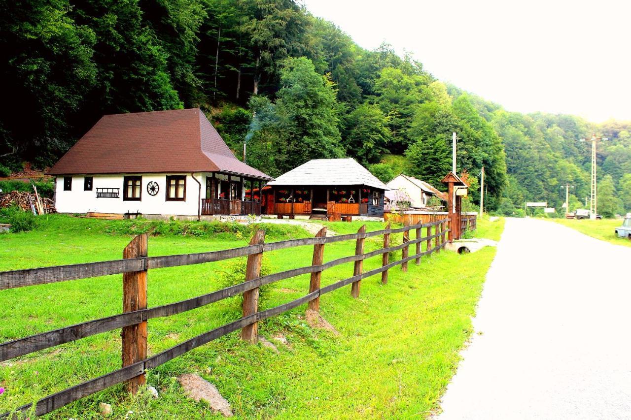 Vila Casuta Din Valea Regilor Gradistea de Munte Exteriér fotografie