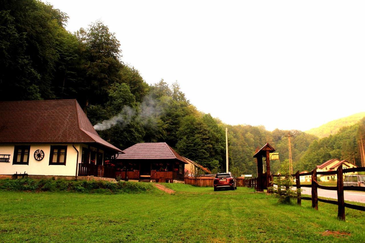 Vila Casuta Din Valea Regilor Gradistea de Munte Exteriér fotografie