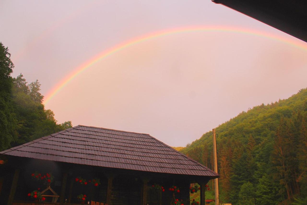 Vila Casuta Din Valea Regilor Gradistea de Munte Exteriér fotografie