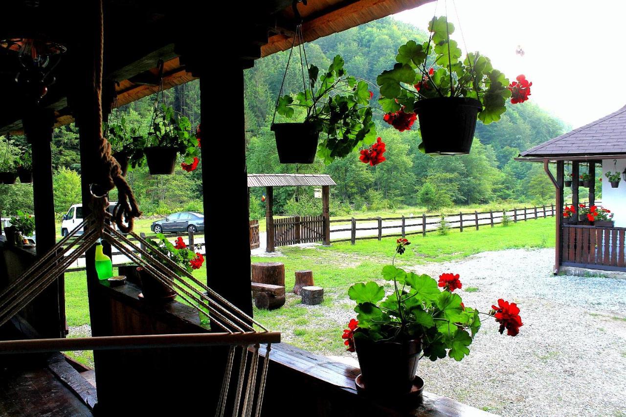 Vila Casuta Din Valea Regilor Gradistea de Munte Exteriér fotografie