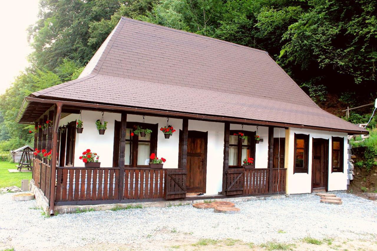 Vila Casuta Din Valea Regilor Gradistea de Munte Exteriér fotografie