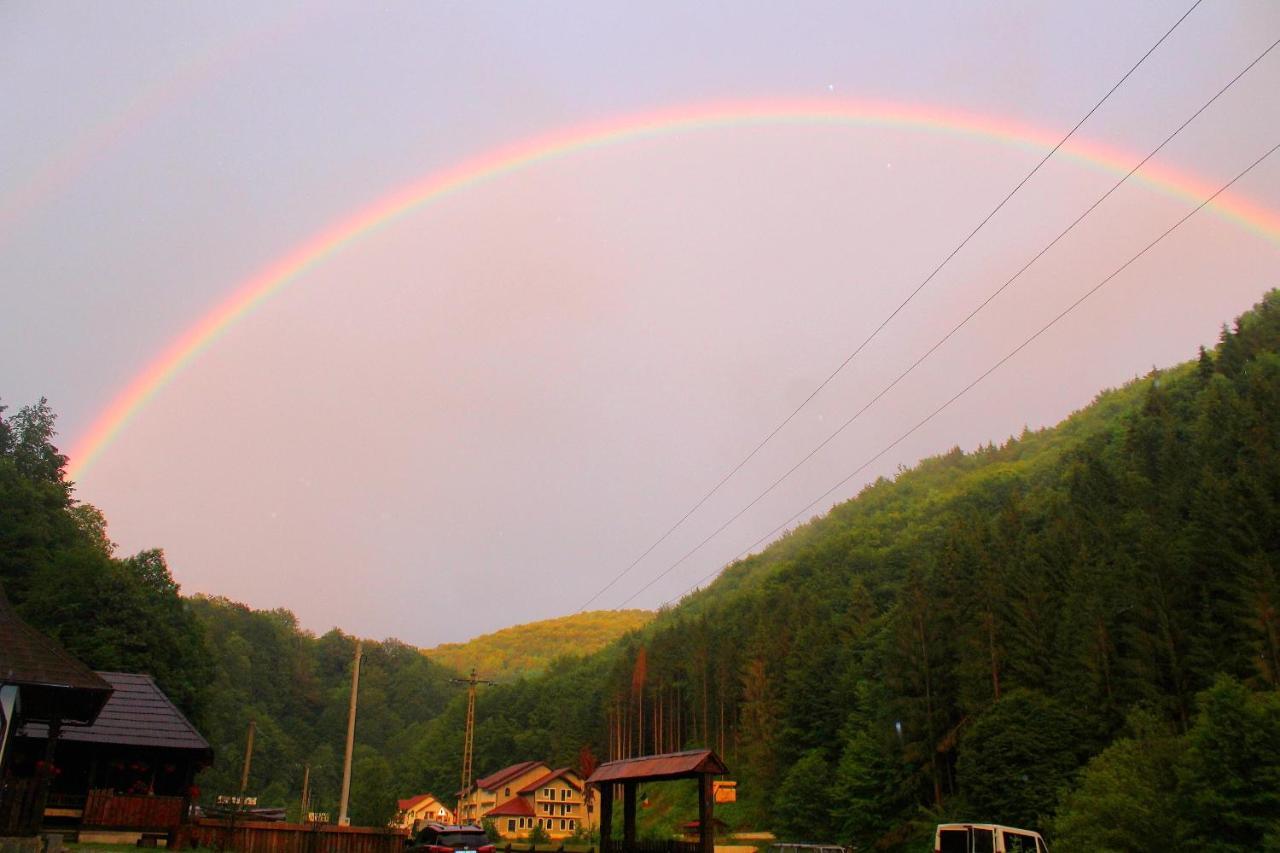 Vila Casuta Din Valea Regilor Gradistea de Munte Exteriér fotografie