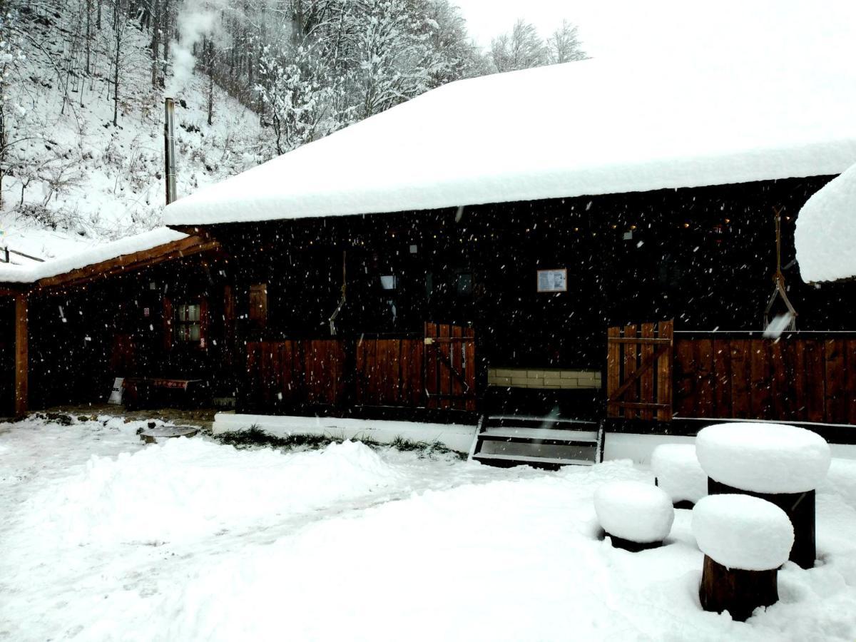 Vila Casuta Din Valea Regilor Gradistea de Munte Exteriér fotografie