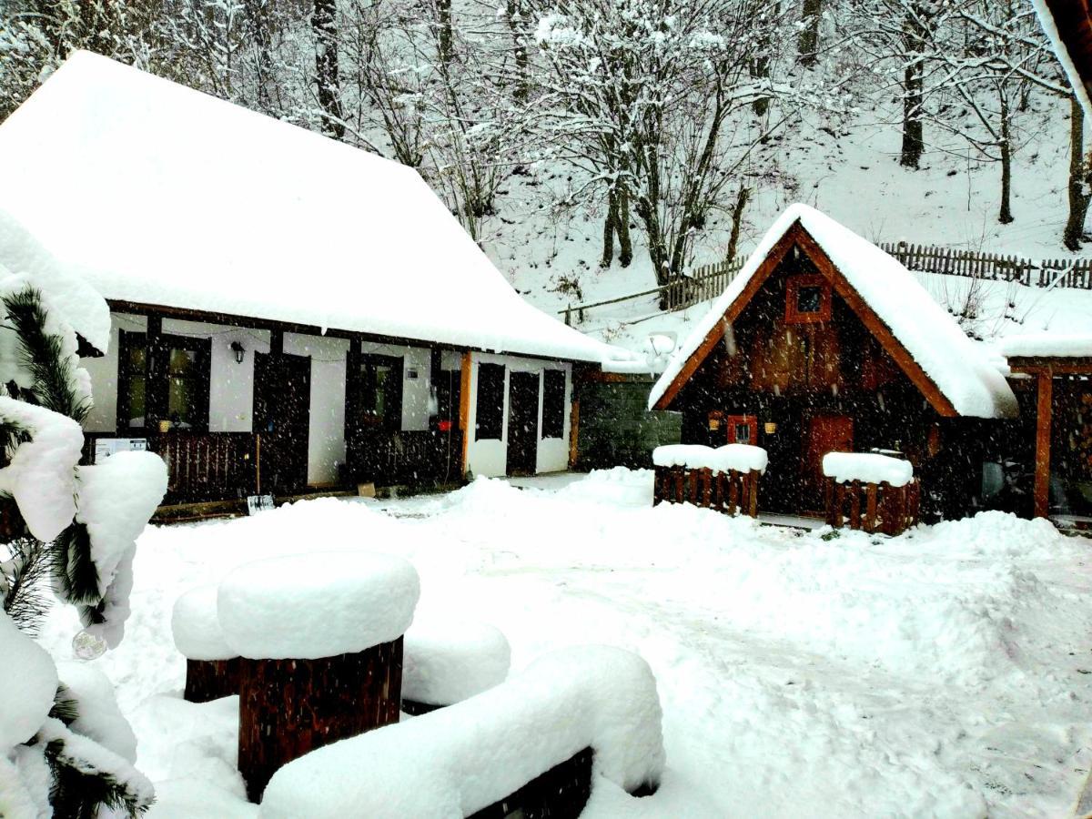 Vila Casuta Din Valea Regilor Gradistea de Munte Exteriér fotografie