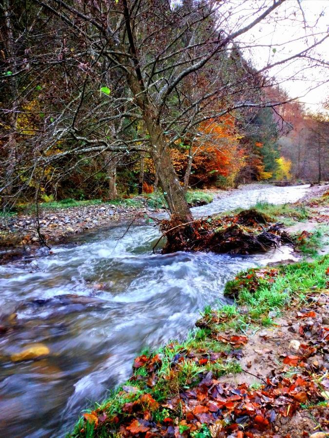 Vila Casuta Din Valea Regilor Gradistea de Munte Exteriér fotografie