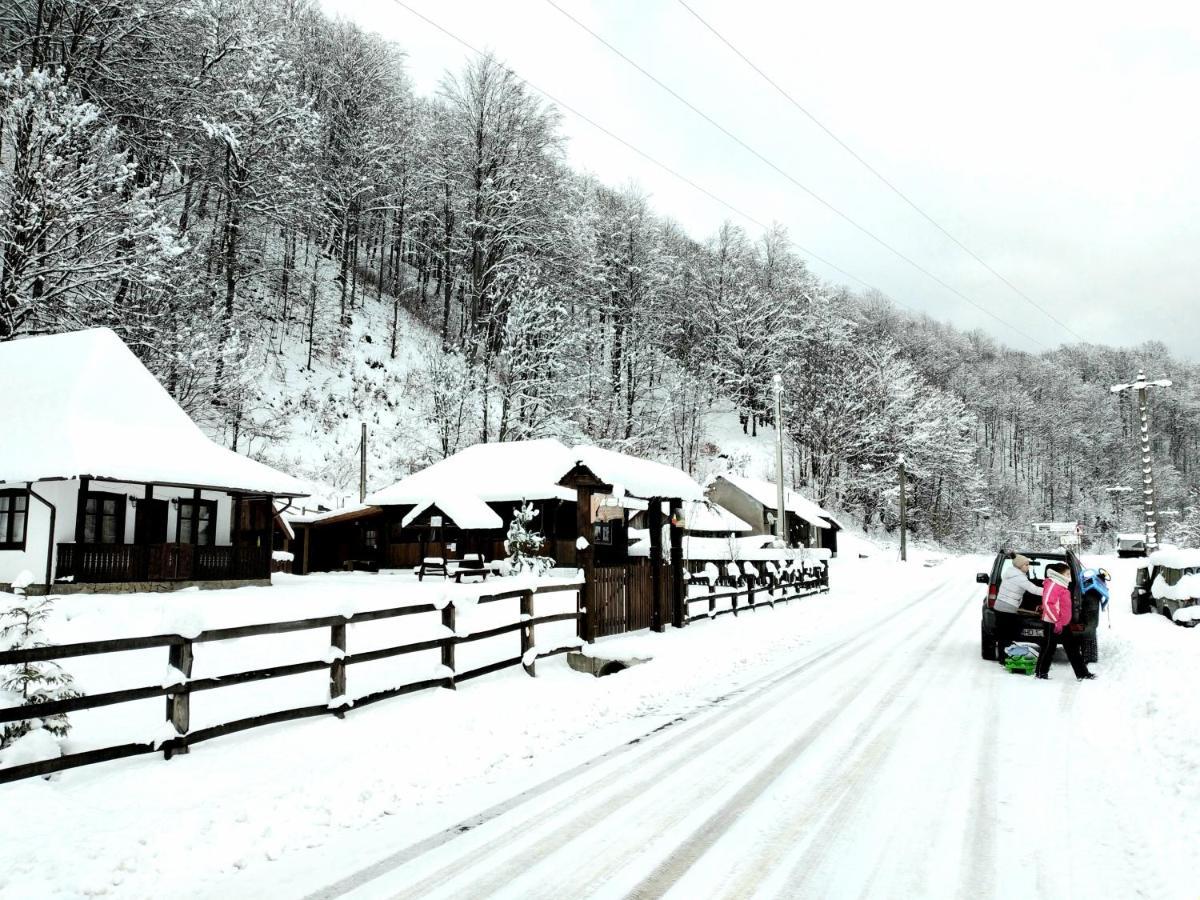 Vila Casuta Din Valea Regilor Gradistea de Munte Exteriér fotografie