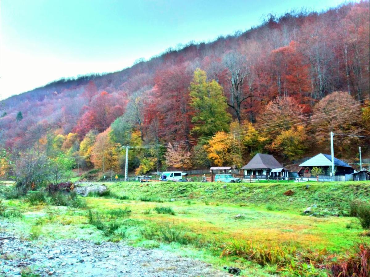 Vila Casuta Din Valea Regilor Gradistea de Munte Exteriér fotografie