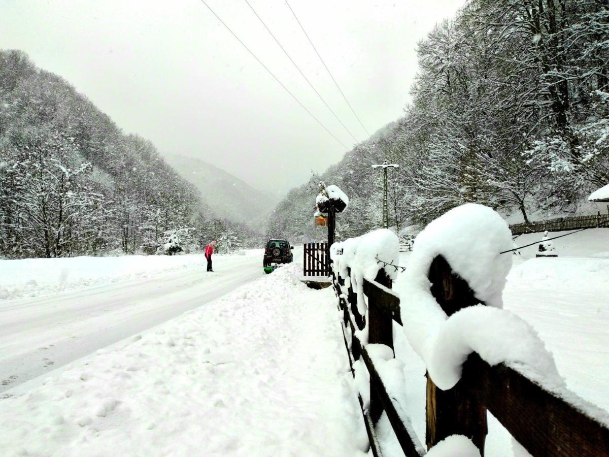 Vila Casuta Din Valea Regilor Gradistea de Munte Exteriér fotografie