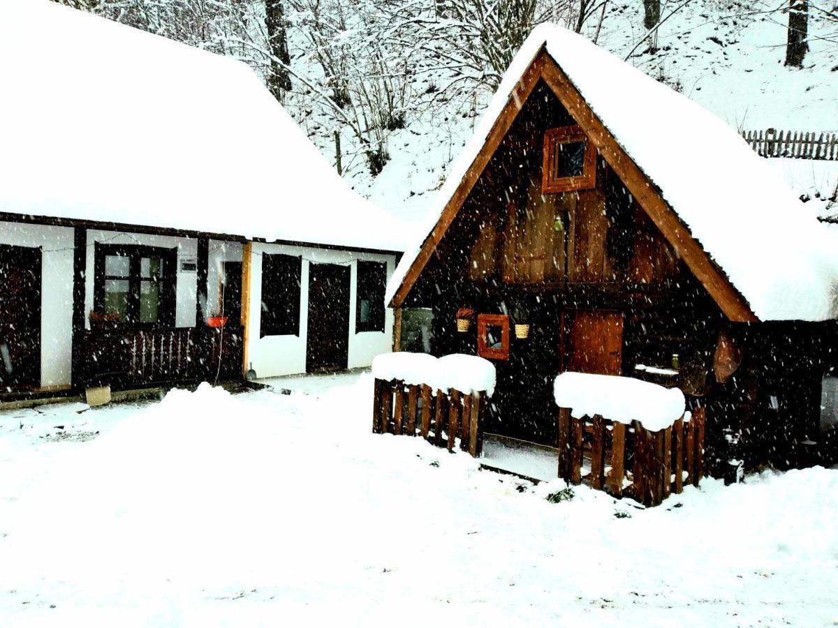 Vila Casuta Din Valea Regilor Gradistea de Munte Exteriér fotografie