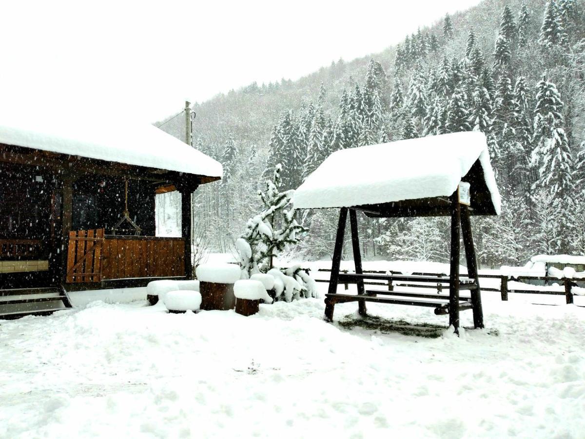 Vila Casuta Din Valea Regilor Gradistea de Munte Exteriér fotografie