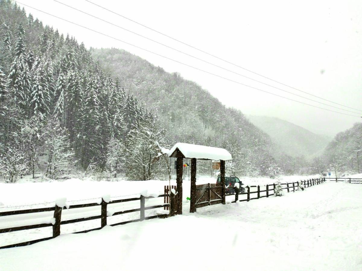Vila Casuta Din Valea Regilor Gradistea de Munte Exteriér fotografie