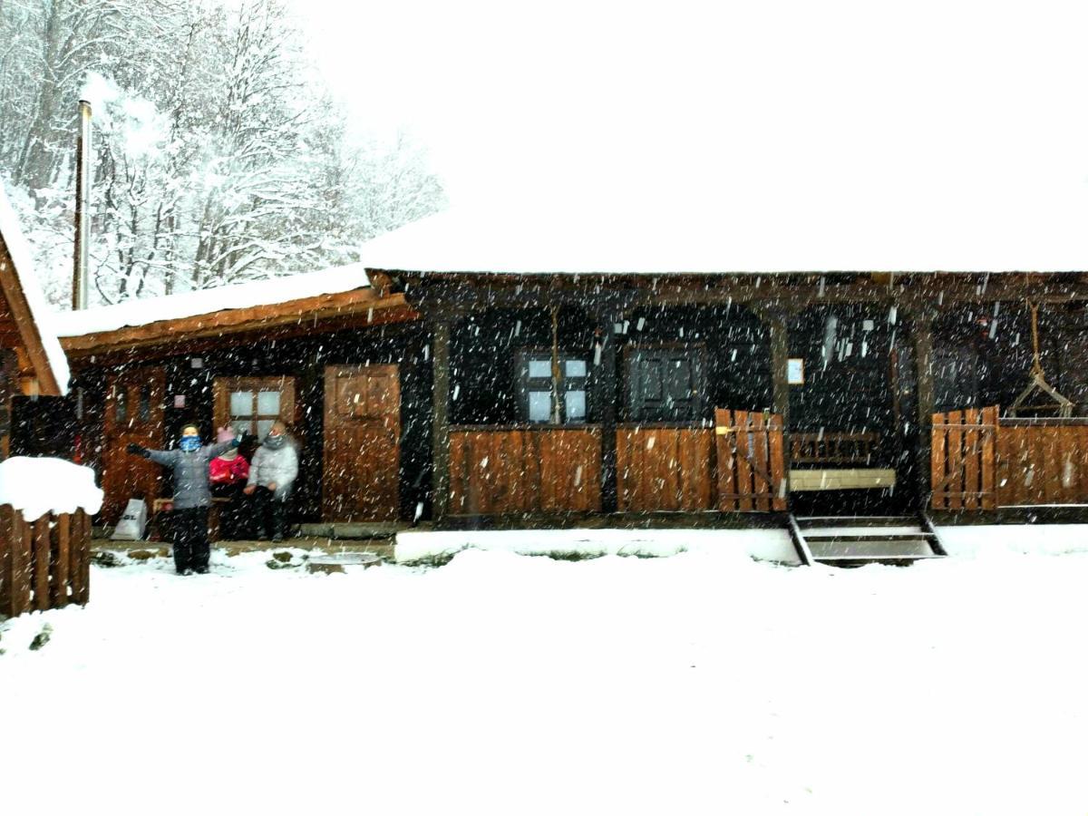 Vila Casuta Din Valea Regilor Gradistea de Munte Exteriér fotografie