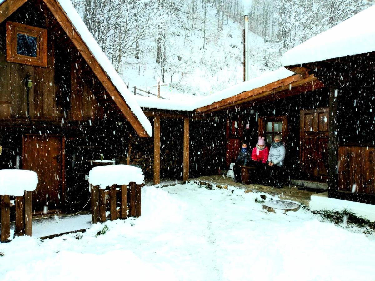 Vila Casuta Din Valea Regilor Gradistea de Munte Exteriér fotografie