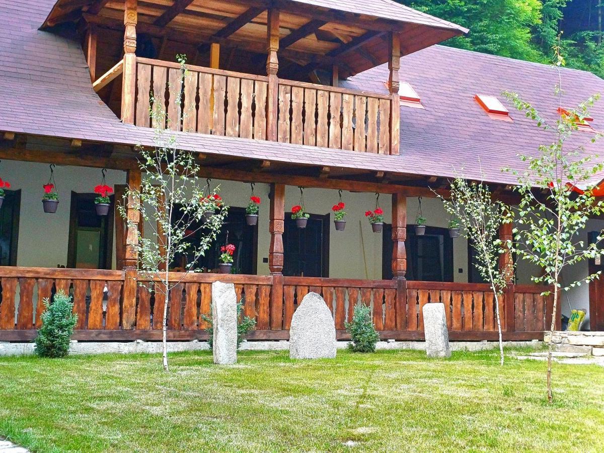 Vila Casuta Din Valea Regilor Gradistea de Munte Exteriér fotografie