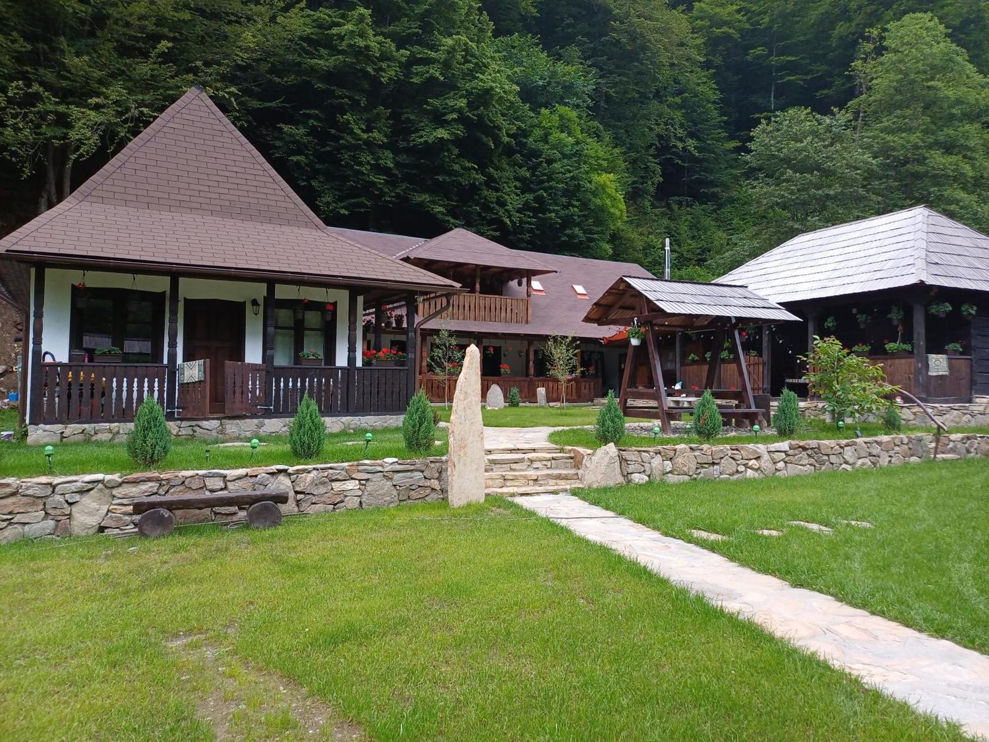 Vila Casuta Din Valea Regilor Gradistea de Munte Exteriér fotografie